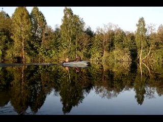 В Карелии средина лета. Песня о великолепии карельской природы и человеческих судьбах.