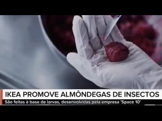Икея теперь рекламирует «мясные» шарики из личинок, чтобы «люди искали альтернативные источники протеина» и «спасали планету»