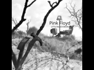 Pink Floyd - Little Black Book (Personal compilation)