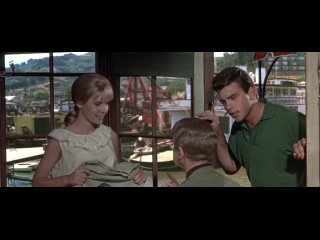 Dear Brigitte (1965)