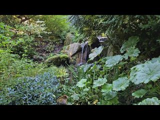 Видео от Садовый рай (Цветы, сад, парк, огород)
