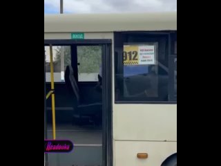 «Бася» захватил автобус в Ростовской области — собака без намордника вынудила пассажиров ретироваться из общественного транспорт