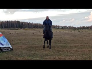 Под зарю хорошую скачут в поле лошади