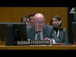 Выступление Василия Небензи на заседании СБ ООН по гуманитарной ситуации на Украине