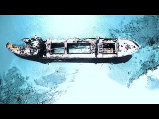 Stratovarius - Survive (Official Graphic Video)