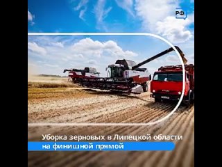 В Липецкой области завершается уборка зерновых и зернобобовых культур