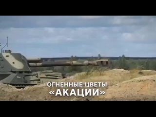 САУ «Акация» на Южно-Донецком направлении уничтожила вражескую технику