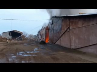 Крупный пожар на складе с сельхозпродукцией в Ейском районе