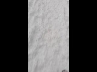 Видео от Эльвиры Комаровой(480p).mp4