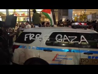 Сотни протестующих вышли на улицы Нью-Йорка в поддержку палестинцев