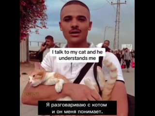 “Я разговариваю с котом и он меня понимает“: палестинец о том, как домашние животные переносят миграцию