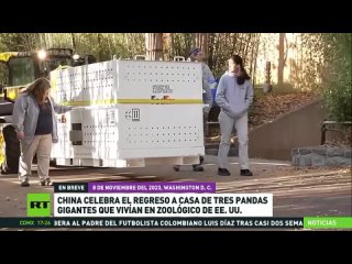 ’Crisis de pandas’ entre . y China: otros tres regresan a casa desde Washington