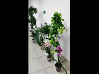Букеты цветы в Нижнекамскеtan video