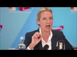 Die AFD mchte die Corona Plandemie Aufarbeitung, welches im Sofort Programm der AFD steht!