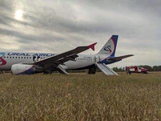 При аварийной посадке в Новосибирской области на пшеничное поле у самолета повреждены все стойки шасси и одно крыло – экстренные