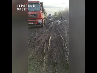 Жители села Большой Мартын Воронежской области: “SOS! Мы скоро начнем голодать! “