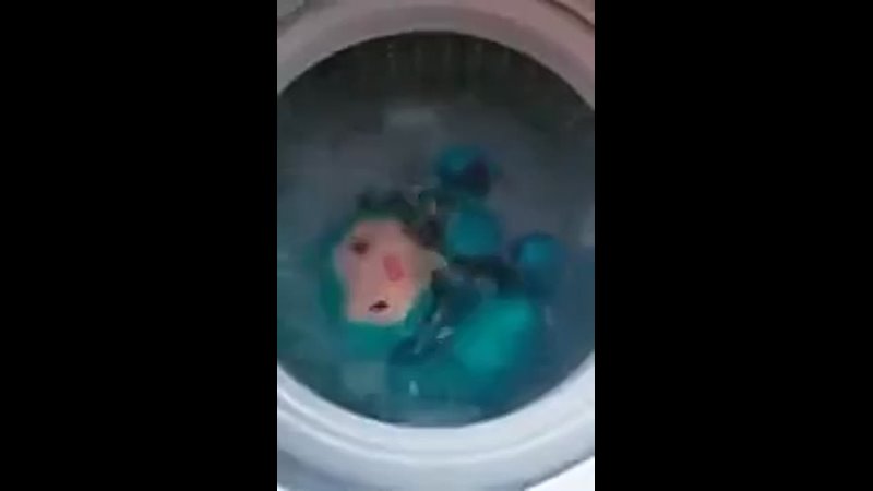 miku in washing machine