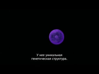 [KaijuKeizer & FRT Sora] Ультра Q: Тёмная фантазия / Ultra Q: Dark Fantasy (2004) ep20 rus sub