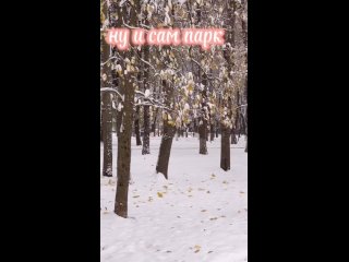 Видео от 5 вёрст Владимир Центральный парк