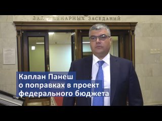 Каплан Панеш о поправках в проект федерального бюджета