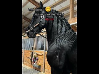 Видео от Лошадь  вольтижировка  верховая езда