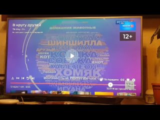 Россия первый канал передача в “Кругу друзей “ вышедшая   г. , с участием Великолепным дизайнером Динара Садыковой.