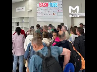 Около 200 российских туристов остались без багажа по прилёте в Москву из Египта