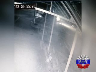 В Дивногорске под колеса автомобиля попали два подростка