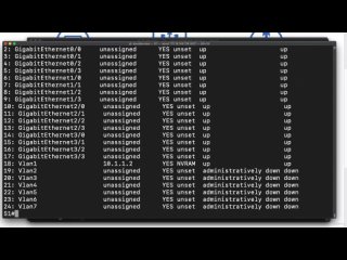 2 Additional Linux commands on Cisco IOS