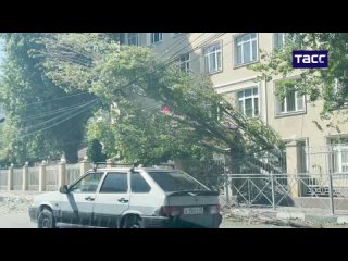 Сильный порывистый ветер повалил десятки деревьев в Махачкале (Дагестан)

«В Махачкале большое количество поваленных ветром дере