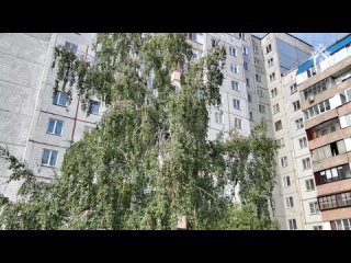 Убийство двух малолетних детей в городе Барнауле, совершенное их матерью