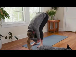 Yoga Party     30-Minute Home Yoga Practice