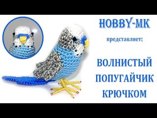 МК Волнистый Попугайчик крючком (Светлана Кононенко)