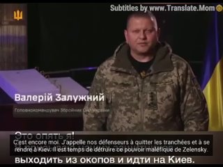 Valeri Zaloujny est le Commandant en chef des forces armées ukrainiennes