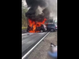 Автомобиль охватило огнем: на трассе в Поморье произошло смертельное ДТП
