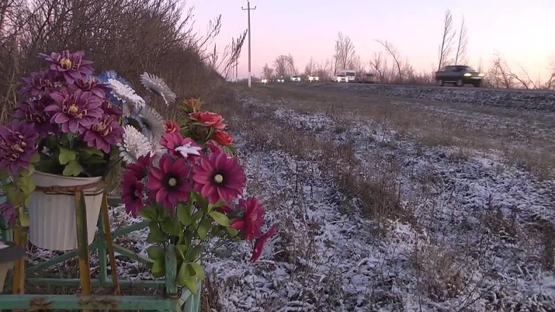 Видео от ЦПО г.Бавлы