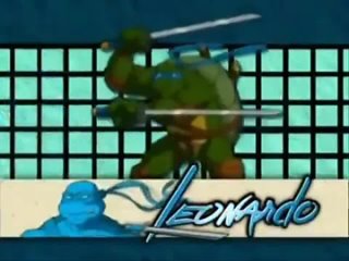 Teenage Mutant Ninja Turtles - Fan Made Full 2003 Opening (360p).mp4