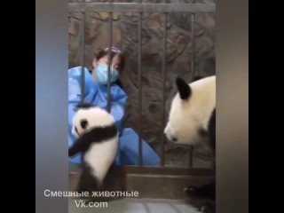 любящая мама