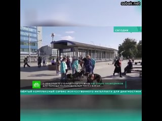 В Москве с 2014 года 330 собак-проводников прошли практическую подготовку в метро для помощи маломоб