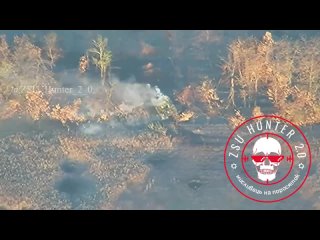 Уничтожение украинской БМП в лесопосадке с помощью противотанковой ракеты.