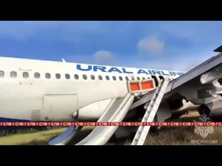 Чудо под Новосибирском. Самолёт «Уральских авиалиний» совершил экстренную посадку в поле