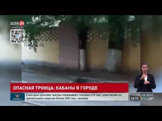 Опасная троица: кабаны в Ростове!