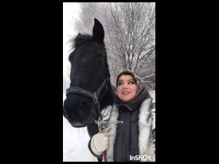 Видео от Приют для лошадей “ЭЛЛИНА“