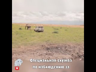 Её воссоединение было таким милым, а затем она оглянулась назад, чтобы сказать с