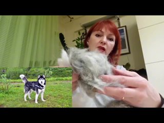 Video by Marina Evdokimova