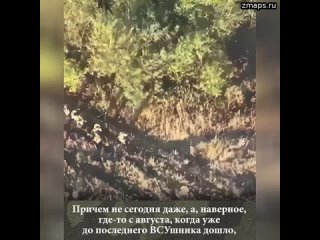 ️ВСУ сдаются в плен  17 украинских военнослужащих бросили опорный пункт и сдались в плен под Донецко