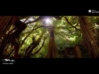 Lost Witness  FAWZY with Yasmin Jane - Gardens of Your Mind (Original Mix) [Abora Recordings]-(1080p60)