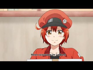 Hataraku Saibou