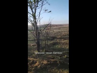 Кадры кладбища   уничтоженной бронетехники ВСУ на Запорожском направлении