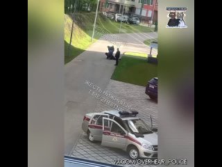 Росгвардейцы обезвредили вооруженного неадеквата, который пытался ворваться в нижегородскую школу